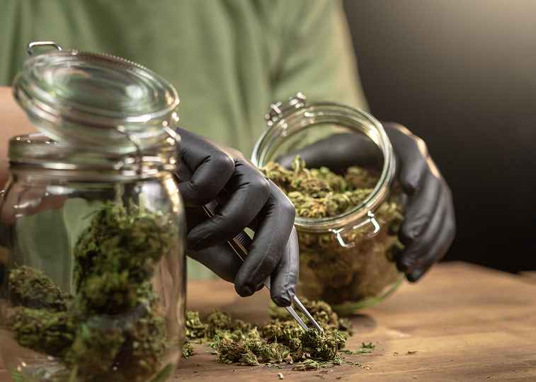 Why The Grass Station Is Albuquerque’s Favorite Cannabis Dispensary
