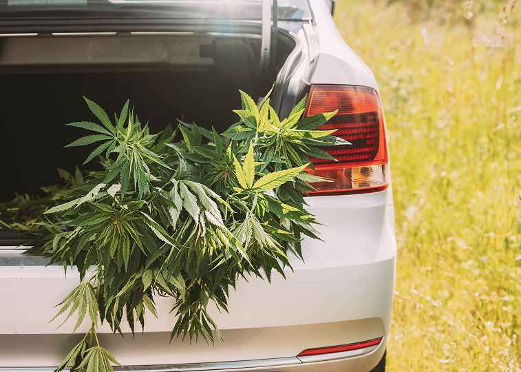 Discover the Best Drive-Thru Dispensary Near You in Albuquerque